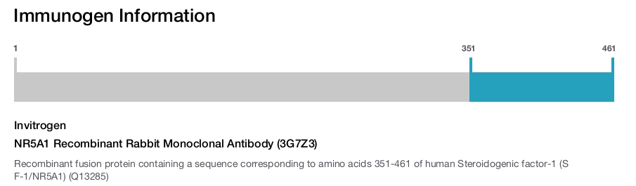 NR5A1 Recombinant Rabbit Monoclonal Antibody (3G7Z3)