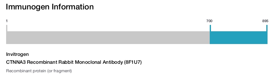 CTNNA3 Recombinant Rabbit Monoclonal Antibody (8F1U7)