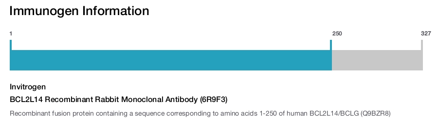 BCL2L14 Recombinant Rabbit Monoclonal Antibody (6R9F3)