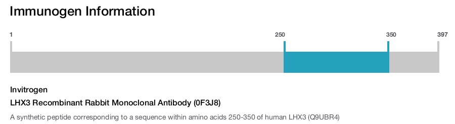 LHX3 Recombinant Rabbit Monoclonal Antibody (0F3J8)