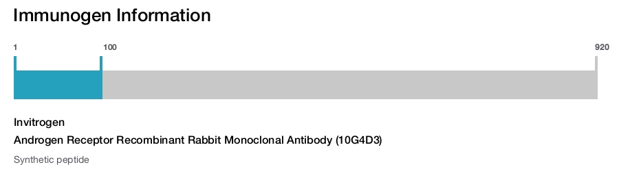Androgen Receptor Recombinant Rabbit Monoclonal Antibody (10G4D3)
