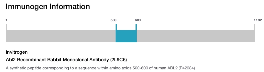 Abl2 Recombinant Rabbit Monoclonal Antibody (2L9C6)
