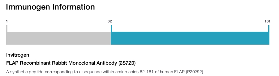 FLAP Recombinant Rabbit Monoclonal Antibody (2S7Z0)