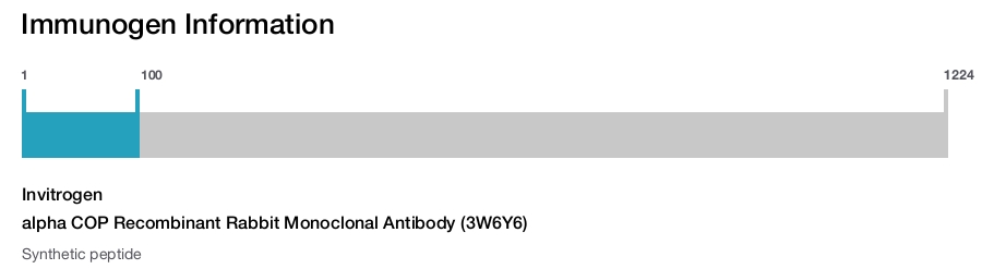 alpha COP Recombinant Rabbit Monoclonal Antibody (3W6Y6)