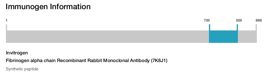 Fibrinogen alpha chain Recombinant Rabbit Monoclonal Antibody (7K8J1)