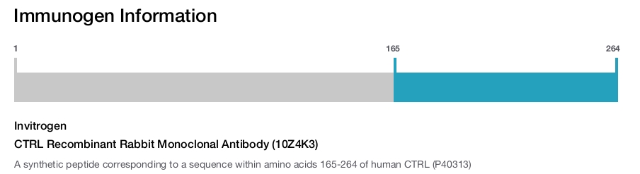 CTRL Recombinant Rabbit Monoclonal Antibody (10Z4K3)