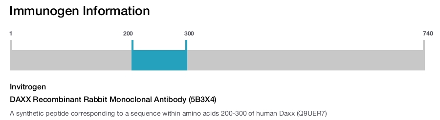 DAXX Recombinant Rabbit Monoclonal Antibody (5B3X4)