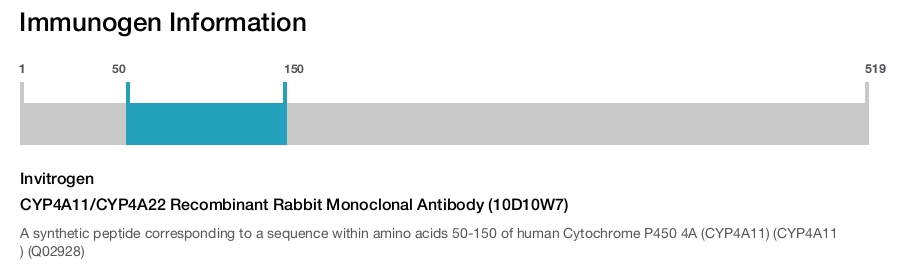CYP4A11/CYP4A22 Recombinant Rabbit Monoclonal Antibody (10D10W7)