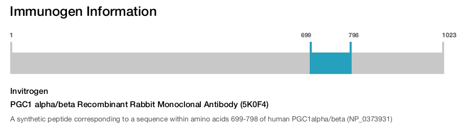 PGC1 alpha/beta Recombinant Rabbit Monoclonal Antibody (5K0F4)