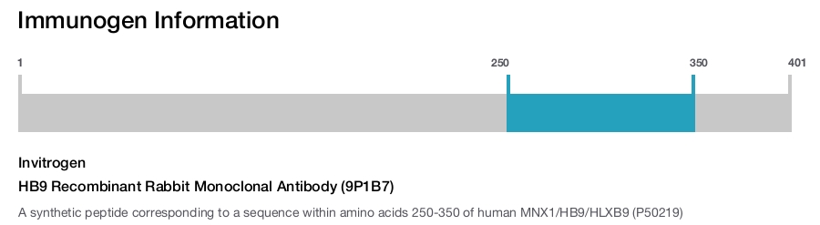 HB9 Recombinant Rabbit Monoclonal Antibody (9P1B7)