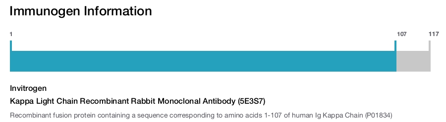 Kappa Light Chain Recombinant Rabbit Monoclonal Antibody (5E3S7)