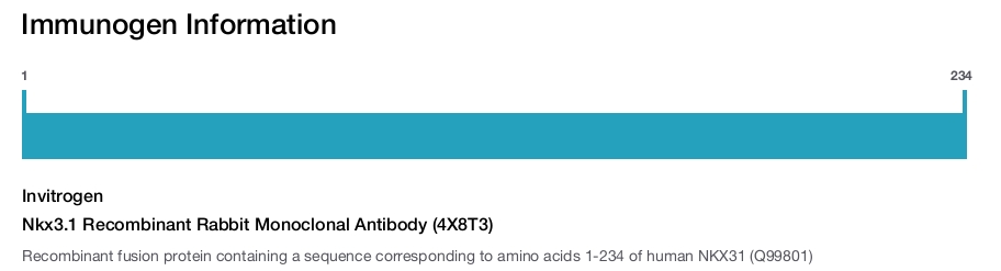 Nkx3.1 Recombinant Rabbit Monoclonal Antibody (4X8T3)