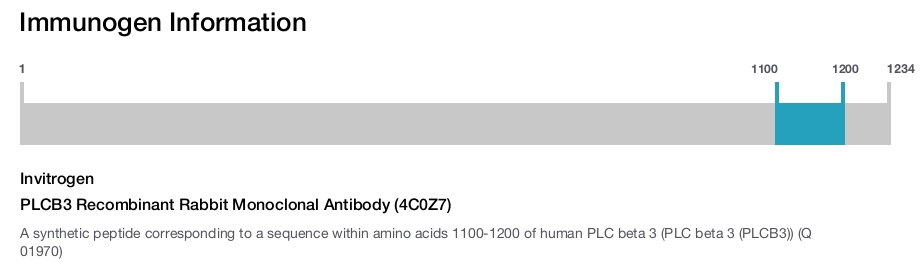 PLCB3 Recombinant Rabbit Monoclonal Antibody (4C0Z7)