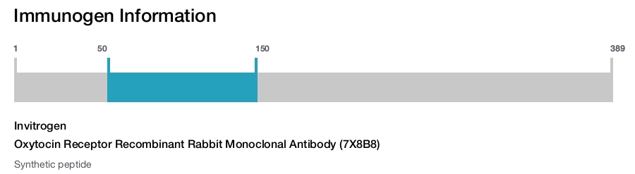 Oxytocin Receptor Recombinant Rabbit Monoclonal Antibody (7X8B8)