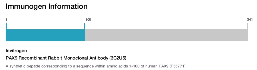 PAX9 Recombinant Rabbit Monoclonal Antibody (3C2U5)