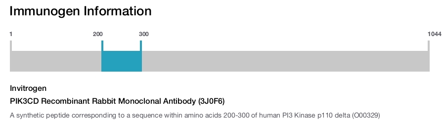 PIK3CD Recombinant Rabbit Monoclonal Antibody (3J0F6)