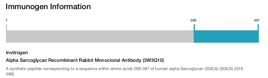 Alpha Sarcoglycan Recombinant Rabbit Monoclonal Antibody (3W3Q10)