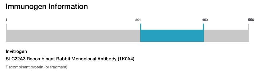 SLC22A3 Recombinant Rabbit Monoclonal Antibody (1K0A4)