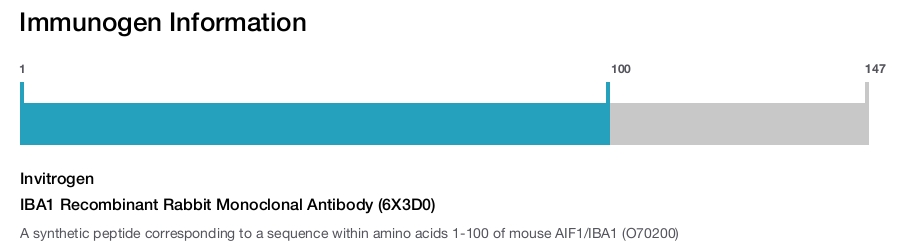IBA1 Recombinant Rabbit Monoclonal Antibody (6X3D0)