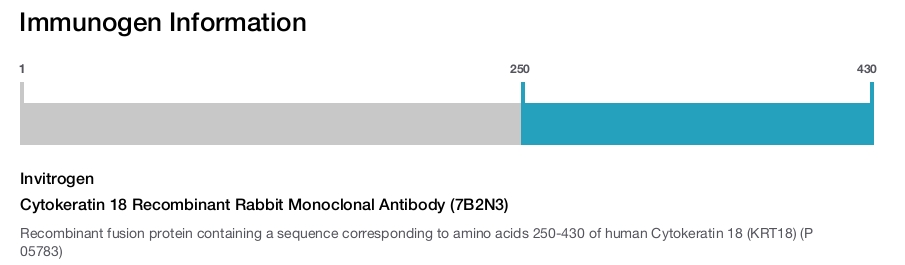 Cytokeratin 18 Recombinant Rabbit Monoclonal Antibody (7B2N3)