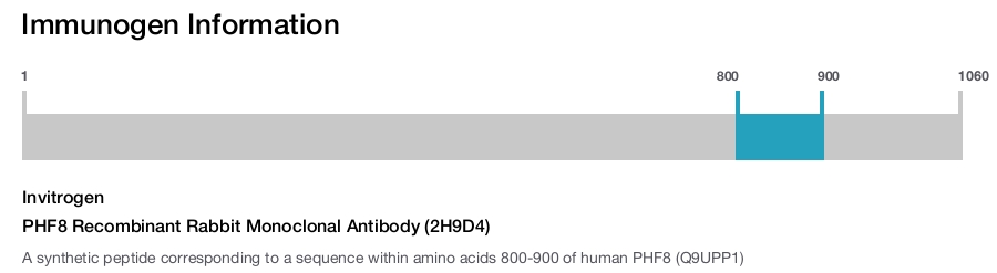 PHF8 Recombinant Rabbit Monoclonal Antibody (2H9D4)