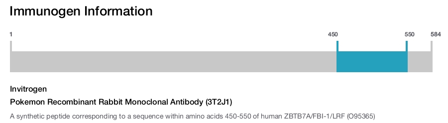 Pokemon Recombinant Rabbit Monoclonal Antibody (3T2J1)