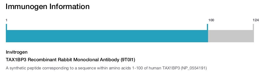 TAX1BP3 Recombinant Rabbit Monoclonal Antibody (9T0I1)