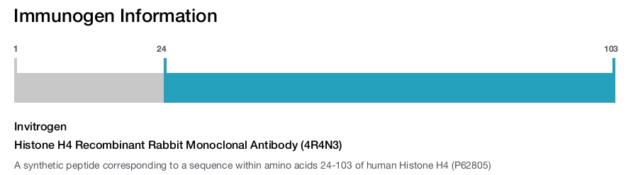 Histone H4 Recombinant Rabbit Monoclonal Antibody (4R4N3)