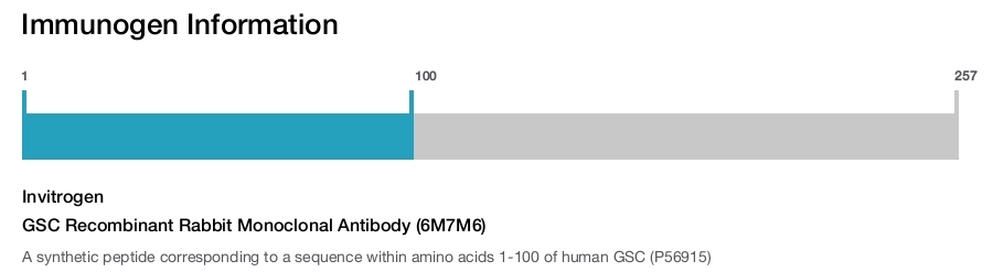 GSC Recombinant Rabbit Monoclonal Antibody (6M7M6)