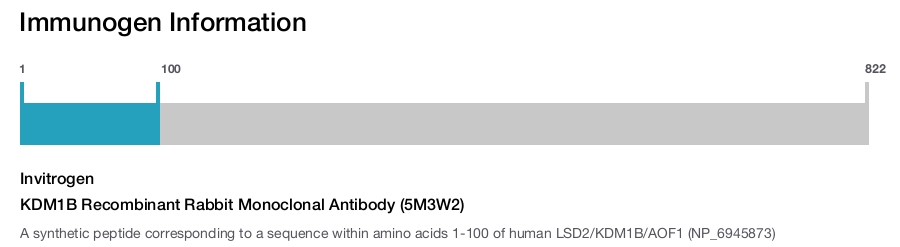 KDM1B Recombinant Rabbit Monoclonal Antibody (5M3W2)