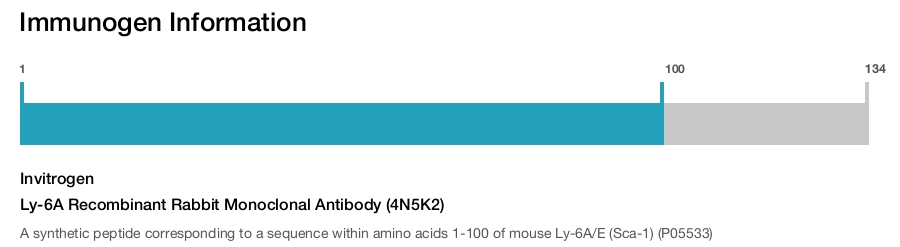 Ly-6A Recombinant Rabbit Monoclonal Antibody (4N5K2)