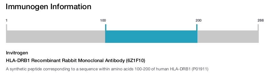 HLA-DRB1 Recombinant Rabbit Monoclonal Antibody (6Z1F10)