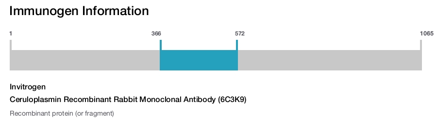 Ceruloplasmin Recombinant Rabbit Monoclonal Antibody (6C3K9)