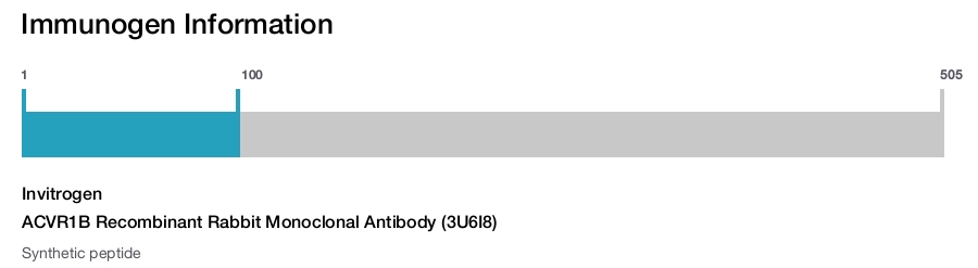 ACVR1B Recombinant Rabbit Monoclonal Antibody (3U6I8)