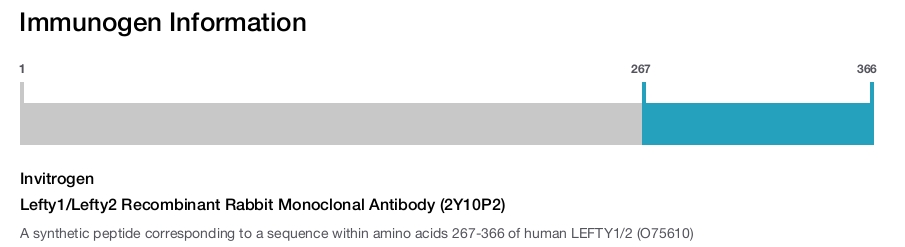 Lefty1/Lefty2 Recombinant Rabbit Monoclonal Antibody (2Y10P2)