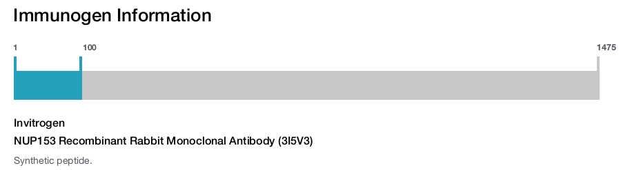 NUP153 Recombinant Rabbit Monoclonal Antibody (3I5V3)