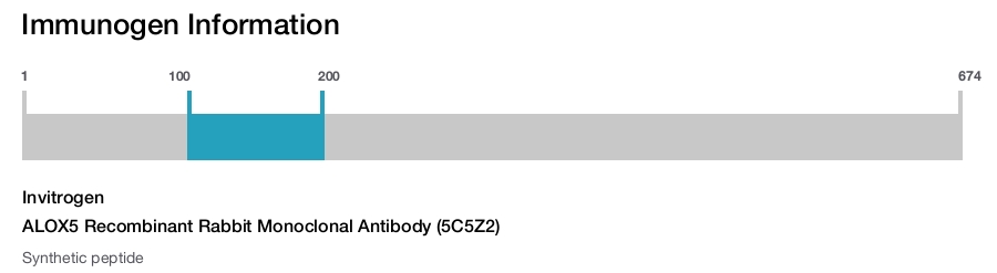 ALOX5 Recombinant Rabbit Monoclonal Antibody (5C5Z2)