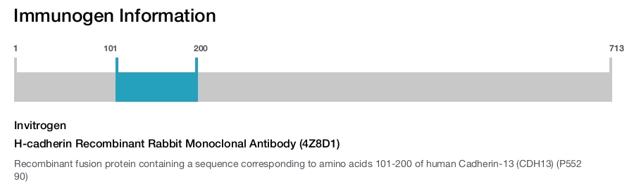 H-cadherin Recombinant Rabbit Monoclonal Antibody (4Z8D1)