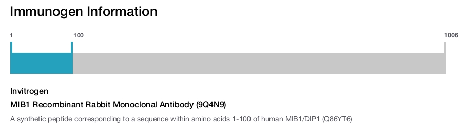 MIB1 Recombinant Rabbit Monoclonal Antibody (9Q4N9)