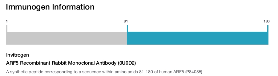 ARF5 Recombinant Rabbit Monoclonal Antibody (0U0D2)