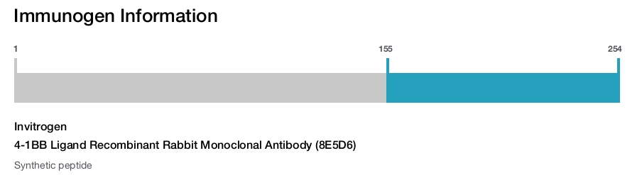 4-1BB Ligand Recombinant Rabbit Monoclonal Antibody (8E5D6)