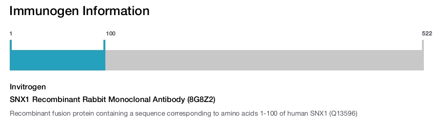 SNX1 Recombinant Rabbit Monoclonal Antibody (8G8Z2)