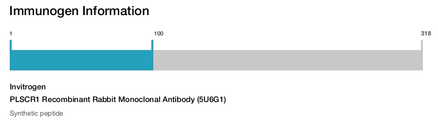 PLSCR1 Recombinant Rabbit Monoclonal Antibody (5U6G1)