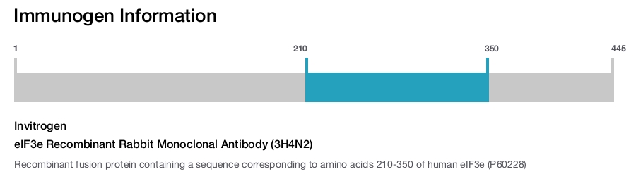 eIF3e Recombinant Rabbit Monoclonal Antibody (3H4N2)
