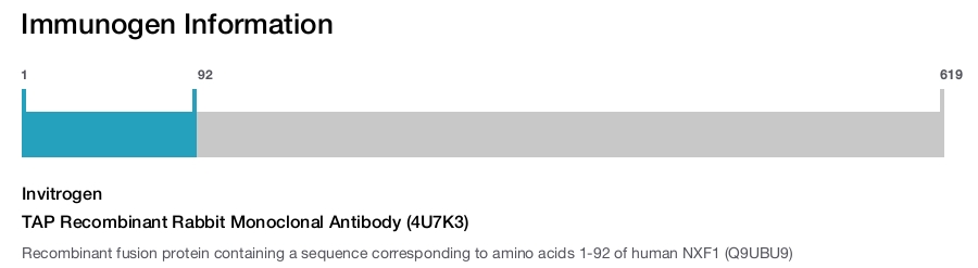 TAP Recombinant Rabbit Monoclonal Antibody (4U7K3)