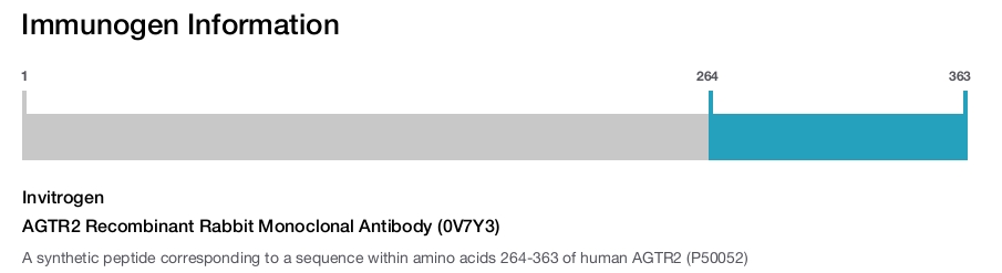 AGTR2 Recombinant Rabbit Monoclonal Antibody (0V7Y3)
