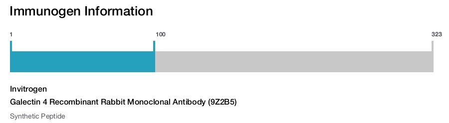 Galectin 4 Recombinant Rabbit Monoclonal Antibody (9Z2B5)
