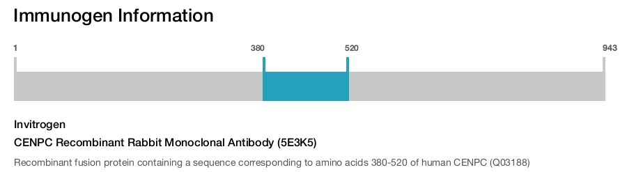 CENPC Recombinant Rabbit Monoclonal Antibody (5E3K5)