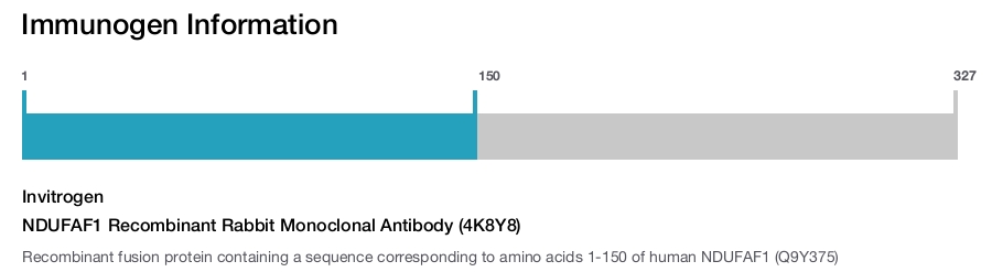 NDUFAF1 Recombinant Rabbit Monoclonal Antibody (4K8Y8)