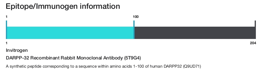 DARPP-32 Recombinant Rabbit Monoclonal Antibody (5T9G4)
